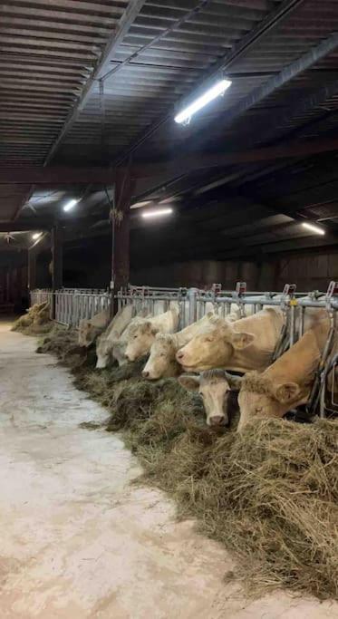 Maison Au Sein D'Une Ferme Villa Rahling Ngoại thất bức ảnh